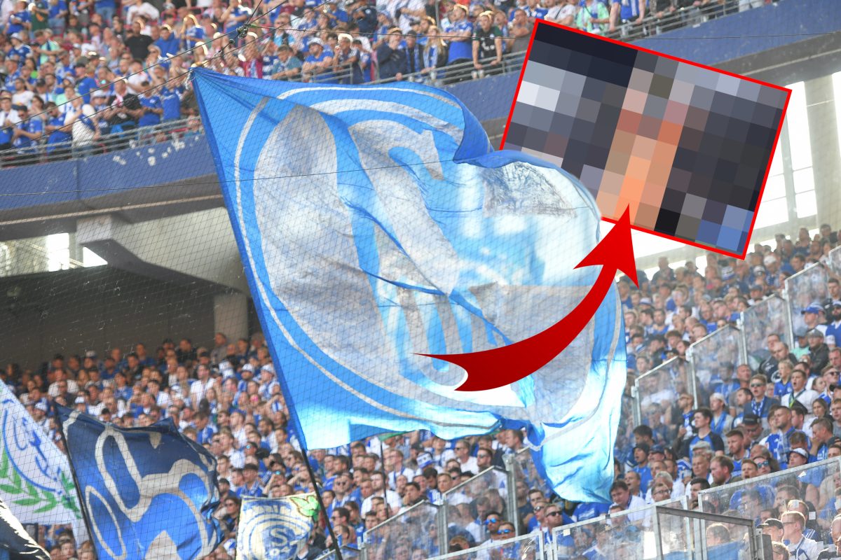 Diesen Moment haben die Fans des FC Schalke nicht kommen sehen.