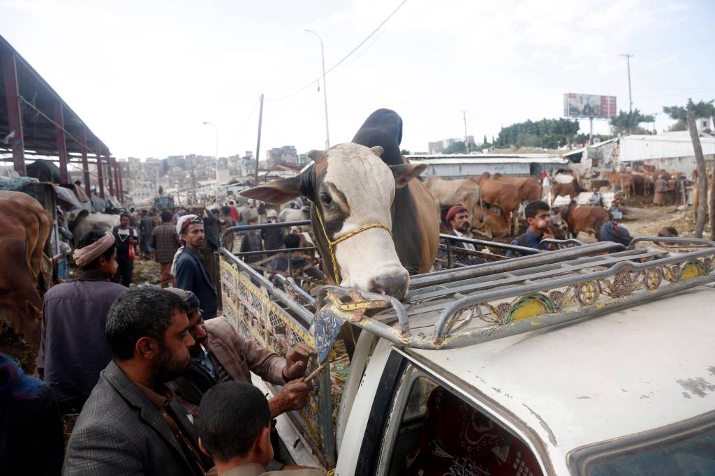 Ein mit einer Kuh beladener Transporter fährt durch eine von Menschenmengen überfüllte Straße.