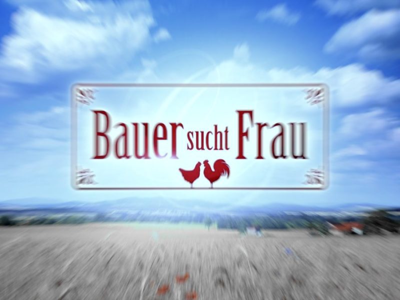 Viele 