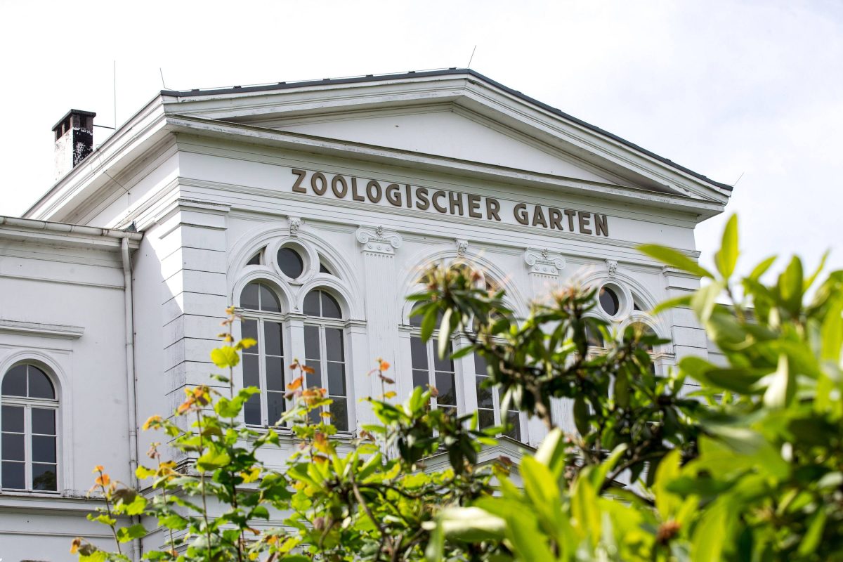 Zoo in NRW: So traurig! Dieser Besucherliebling musste nun für immer gehen!