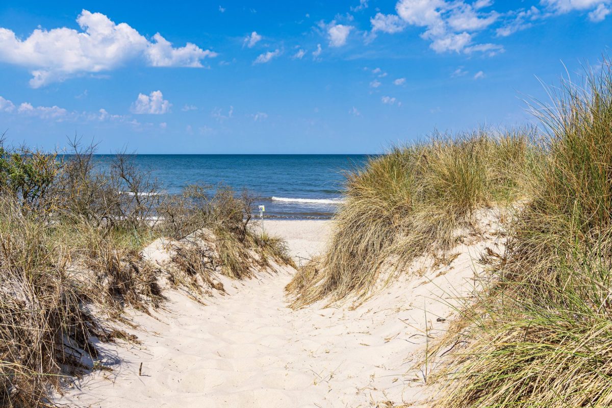 Urlaub an der Ostsee: Giftschlamm Badeverbot