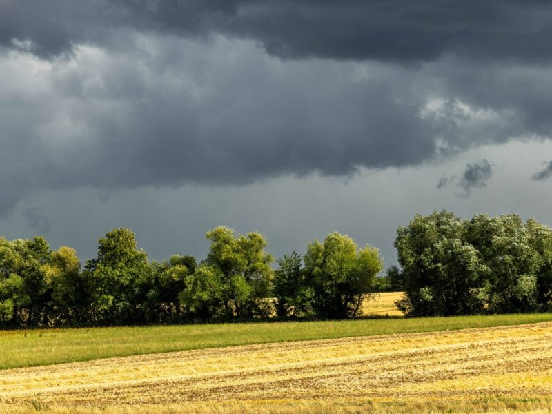 Wetter in NRW