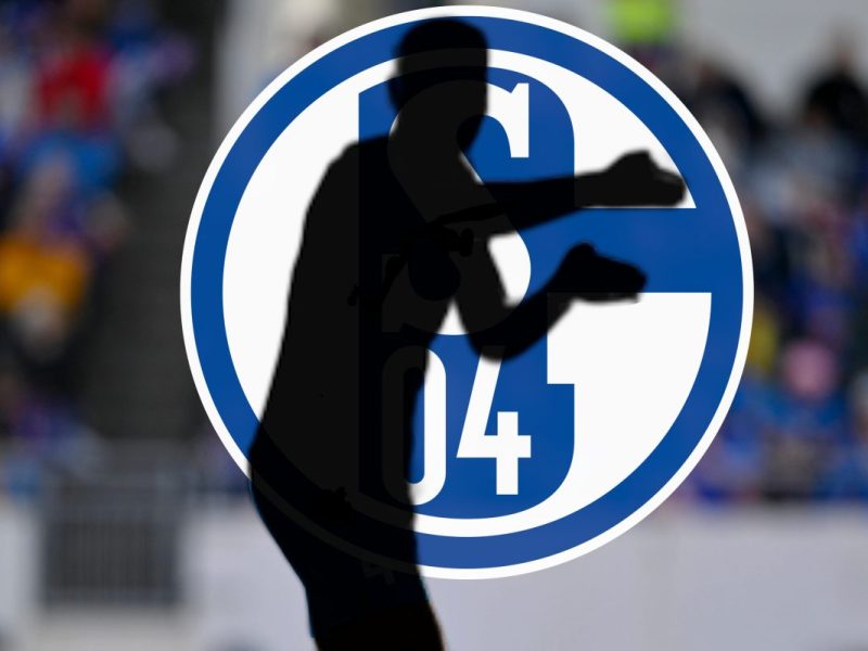 Ein Ex-Spieler des FC Schalke 04 ist zurück in Europa.