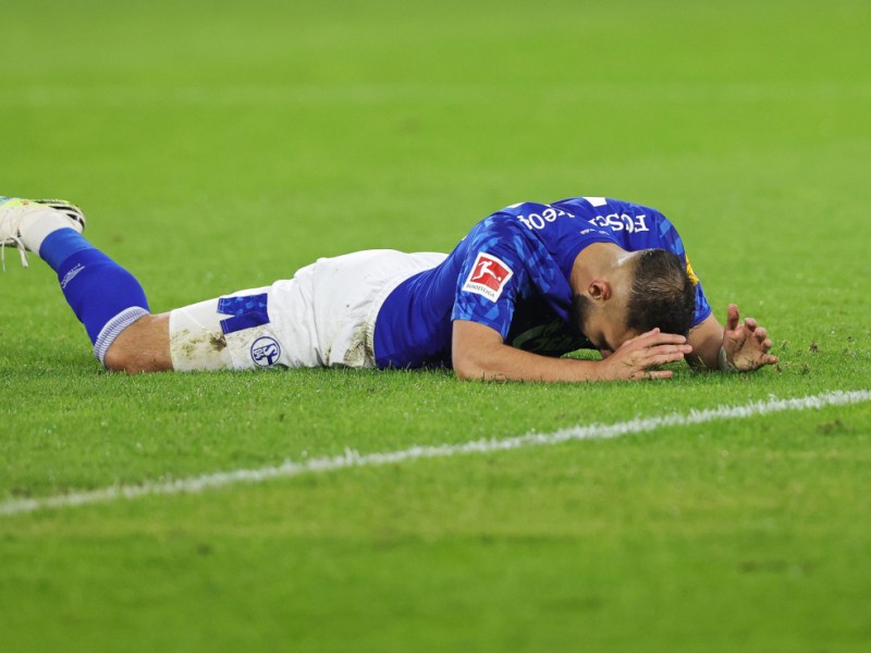 schalke-kutucu