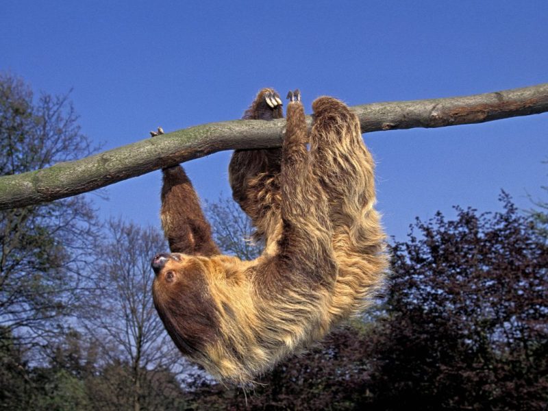 Zoo in NRW