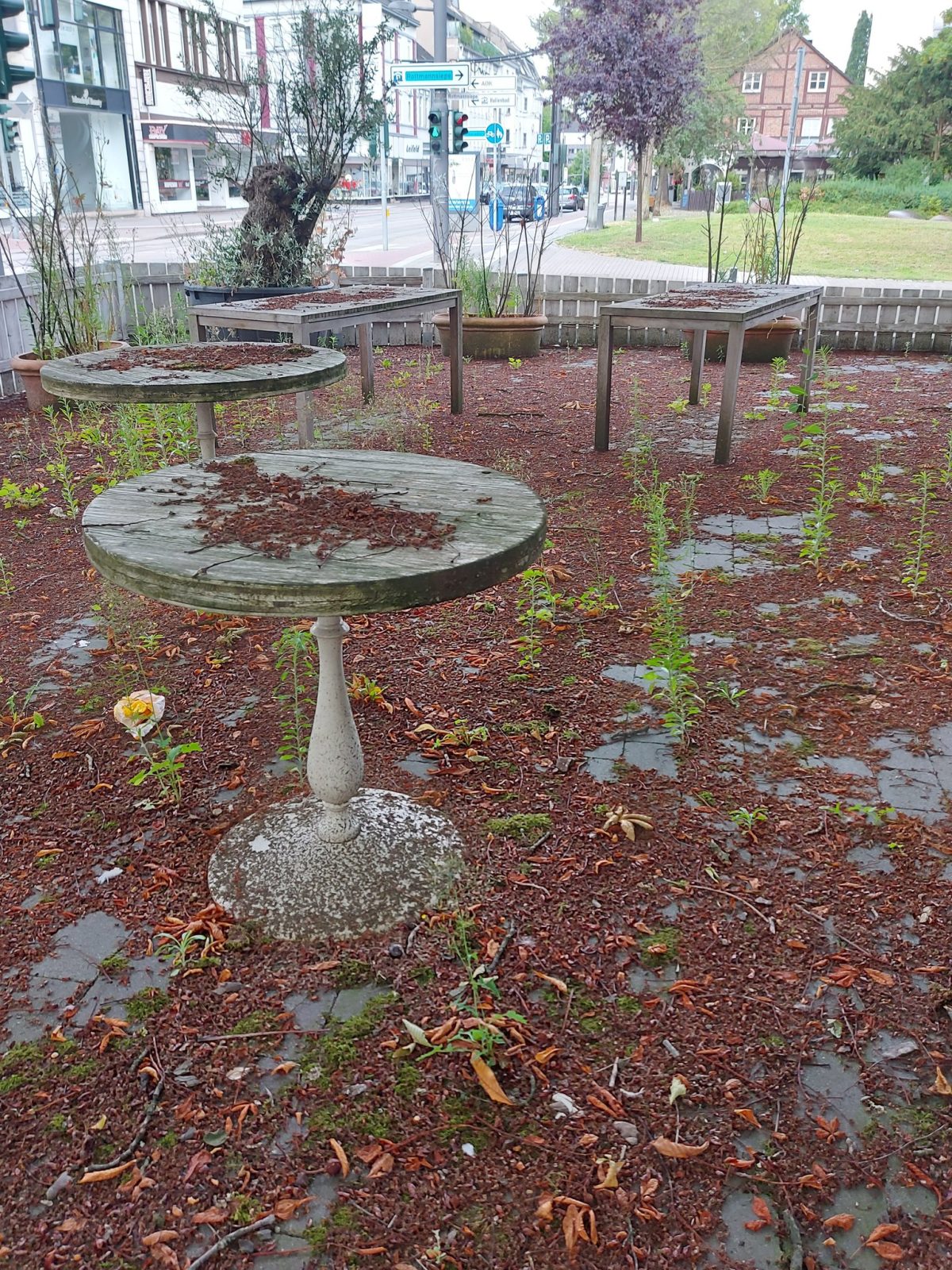 Gelsenkirchen: Der Biergarten Rottmann verkam nach der Corona-Pandemie zum Lost Place. Jetzt wird mithilfe der Stadt ein das neue Restaurant "Fidalgo" eröffnen.