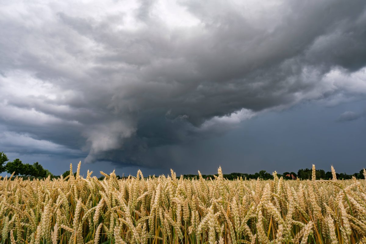 wetter nrw gewitter