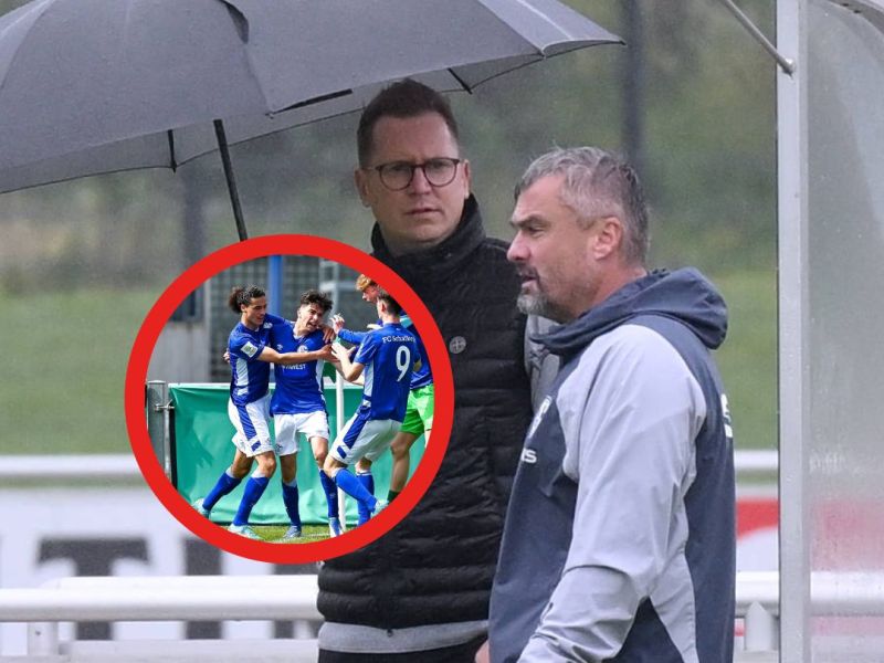 Schalke Bulut