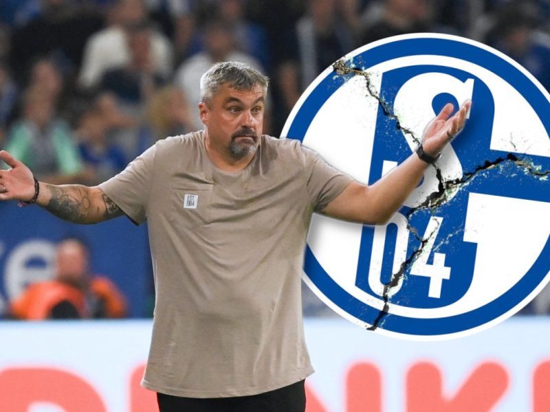 schalke-reis