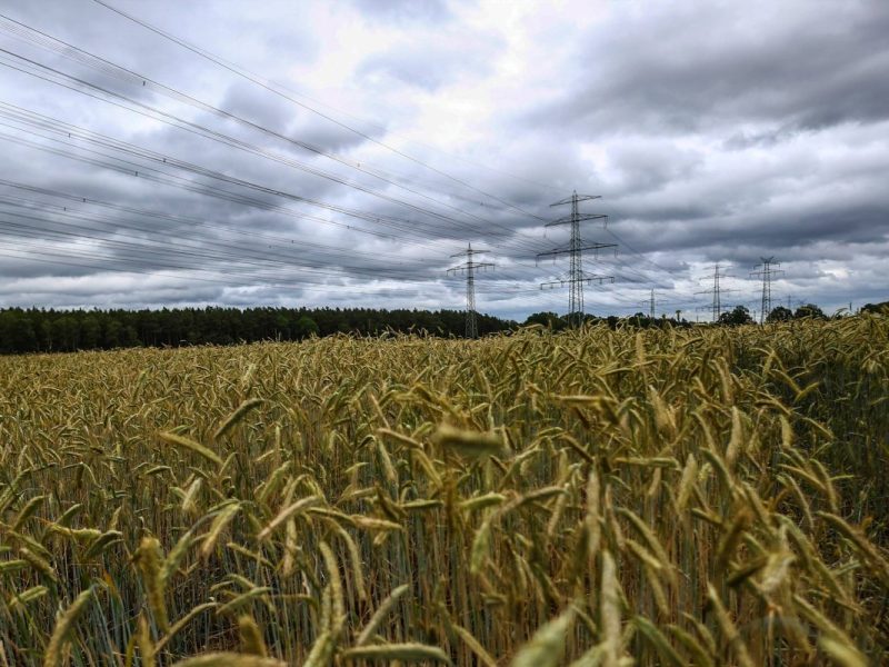 Wetter in NRW