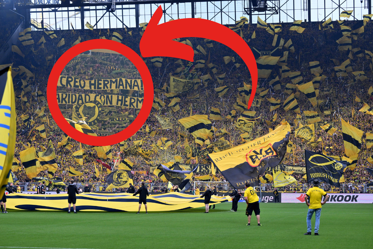 Borussia Dortmund - Heidenheim