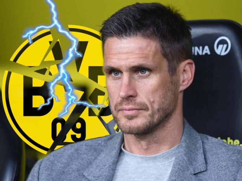 Guter Sommer, schlechter Sommer - wie lief es bei Borussia Dortmund?