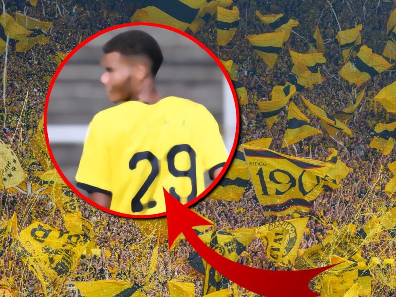Diesen Namen könnte man bei Borussia Dortmund nun noch öfter begegnen.