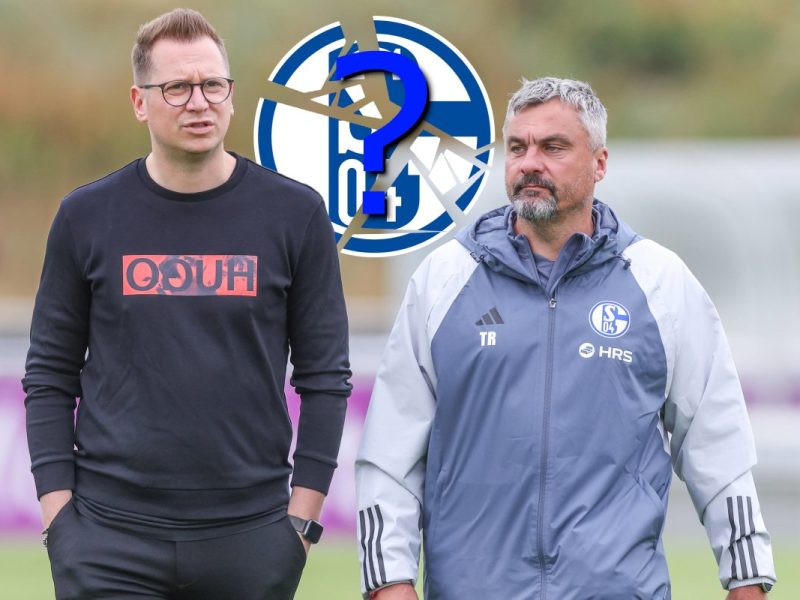 Wie ist der Sommer beim FC Schalke 04 gelaufen?
