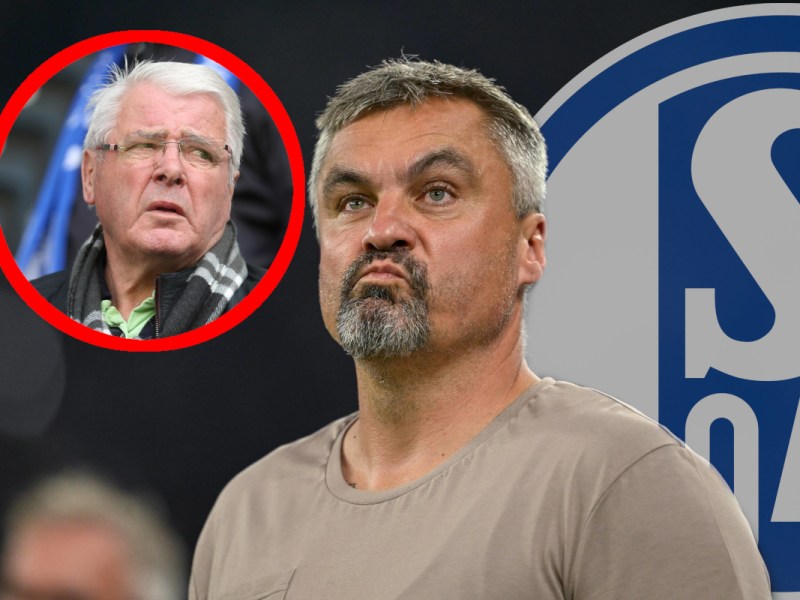 schalke-reis-seguin