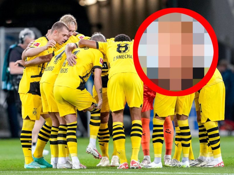 TSG Hoffenheim Borussia Dortmund