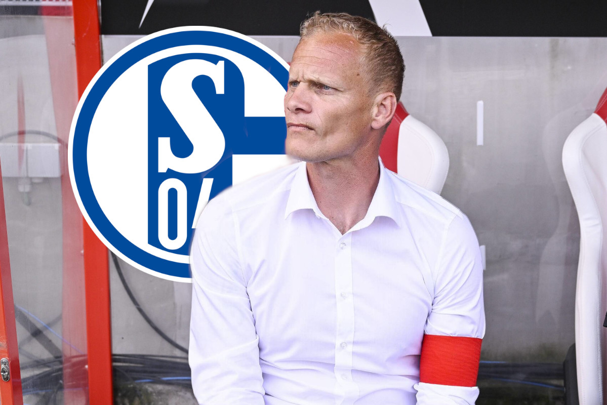 FC Schalke 04 Geraerts neu