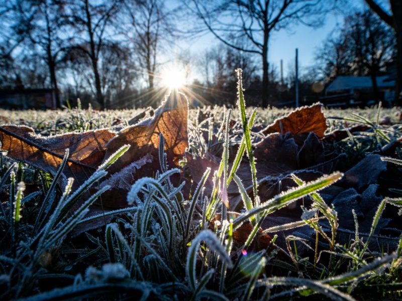 Wetter NRW