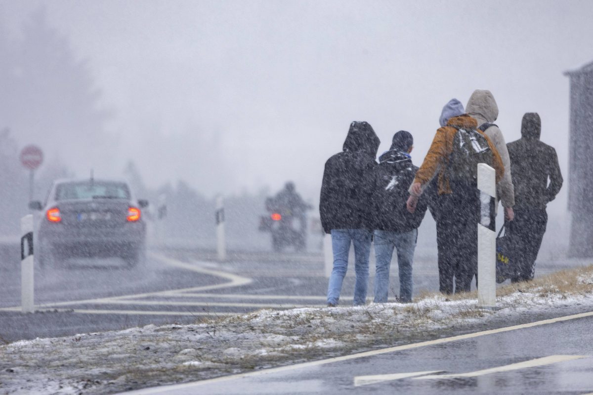 Das Wetter in NRW ist aktuell zu mild für einen Wintereinbruch. Auch für die Wintermonate Dezember, Januar und Februar werden äußerst milde Temperaturen vorhergesagt.