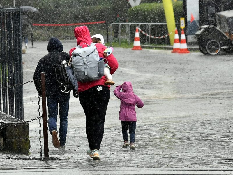 Regen, Familie