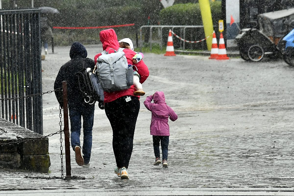 Regen, Familie