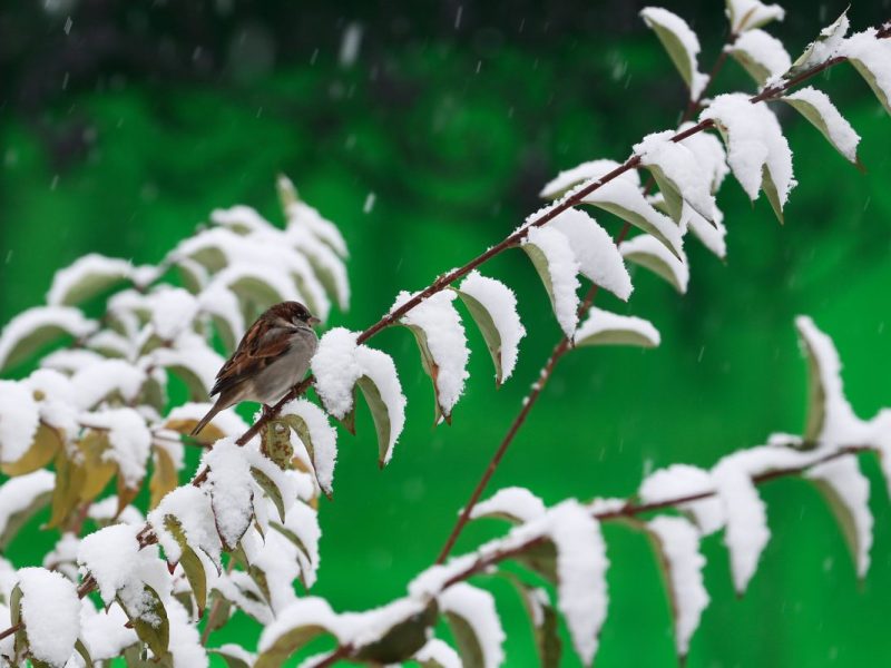 Wetter in NRW