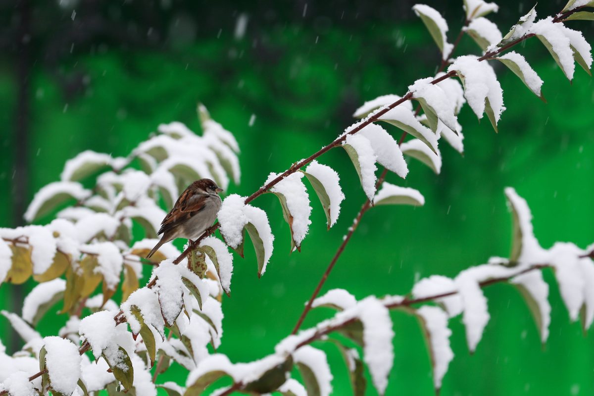 Wetter in NRW