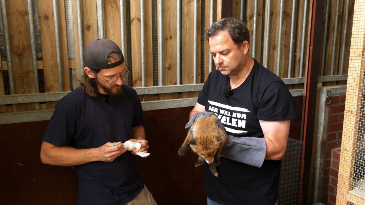 Martin Rütter ist schockiert, als er im Tierheim von Mitarbeitern etwas zu Ohren bekommt.