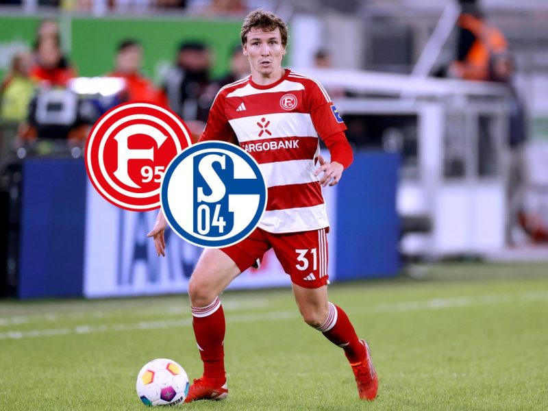 FC Schalke 04 Fortuna Düsseldorf