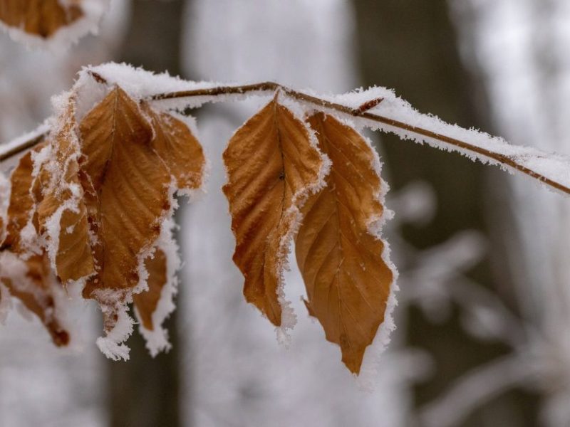 Wetter in NRW: Experte verkündet Schnee-Hammer – doch was dann folgt, schlägt dem Fass den Boden aus