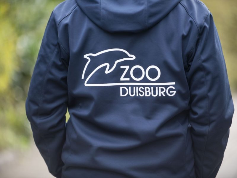 Zoo Duisburg: Tierpfleger betreten Gehege – und müssen höllisch aufpassen