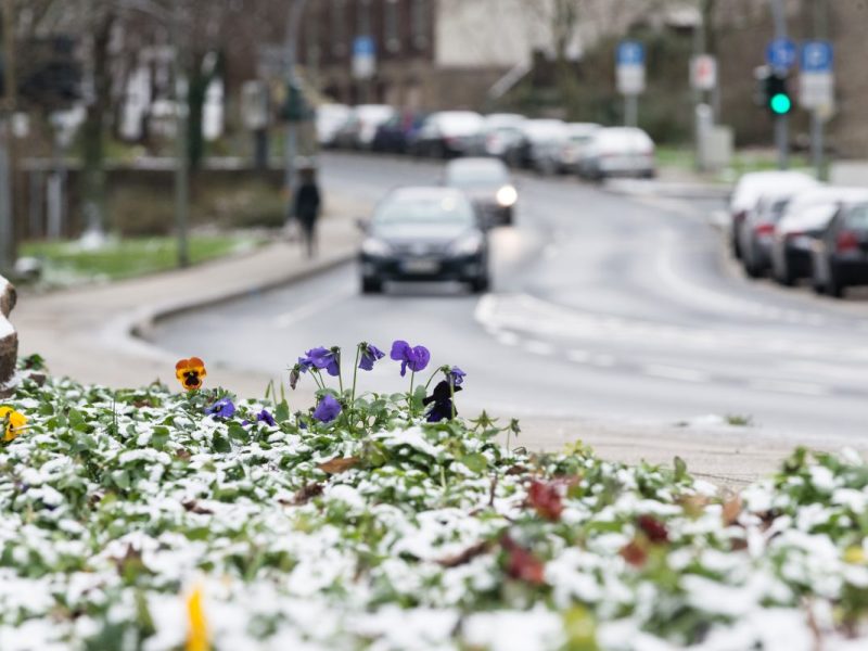 Bringt das Wetter in NRW bald schon Schnee?