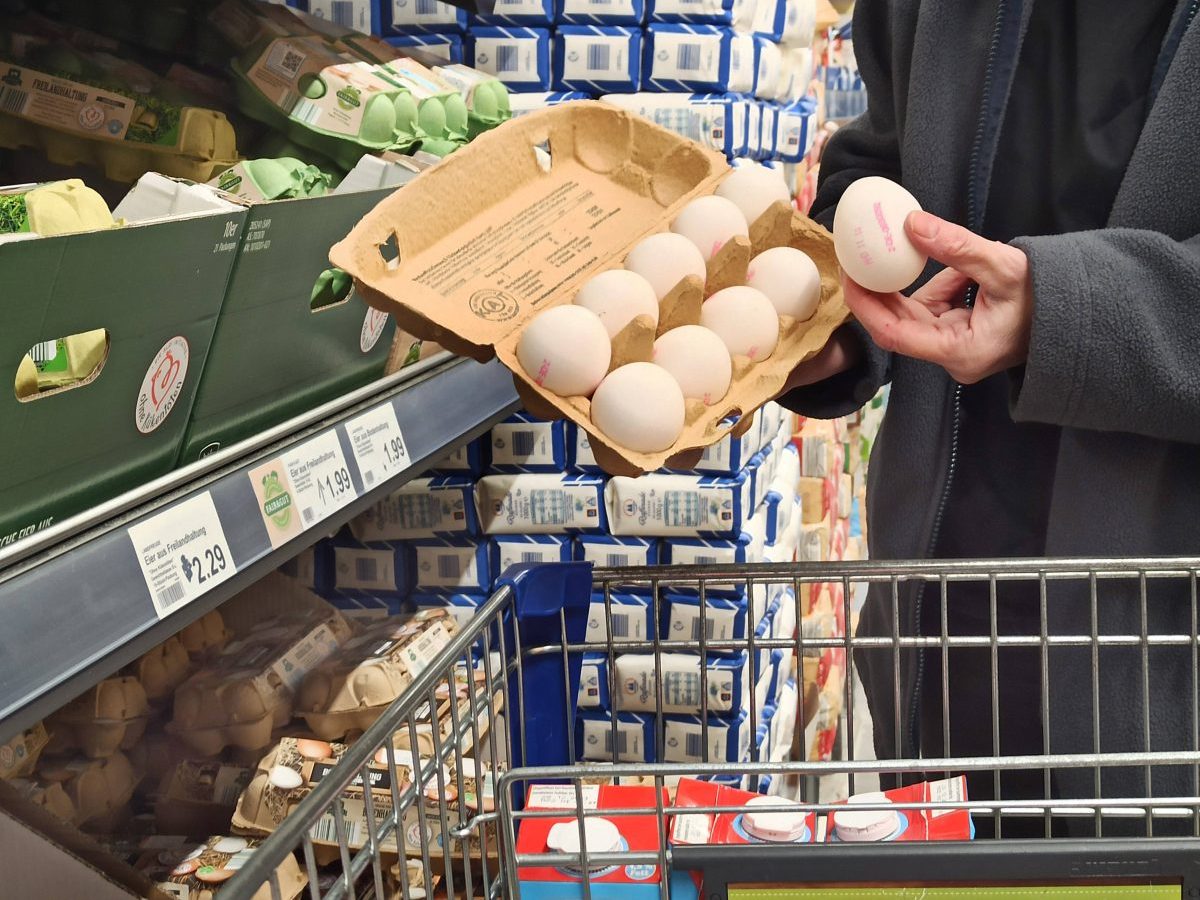Aldi-Kunde kauft Eier – den Schock beim Auspacken vergisst er nie!