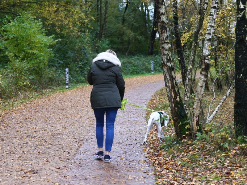 Bochum Hund