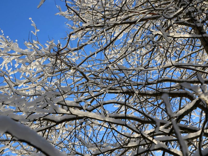 Wetter NRW