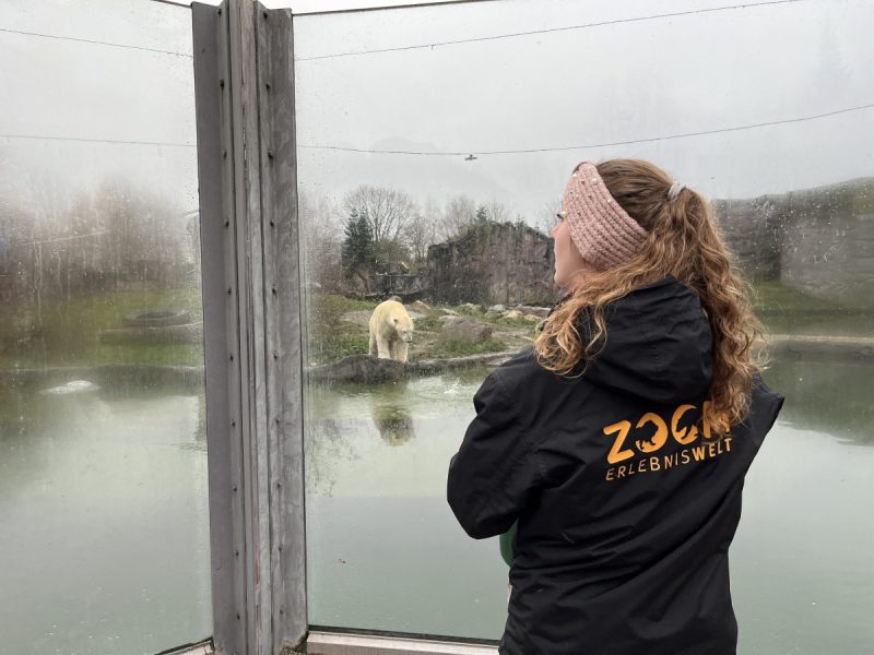 Zoom Gelsenkirchen
