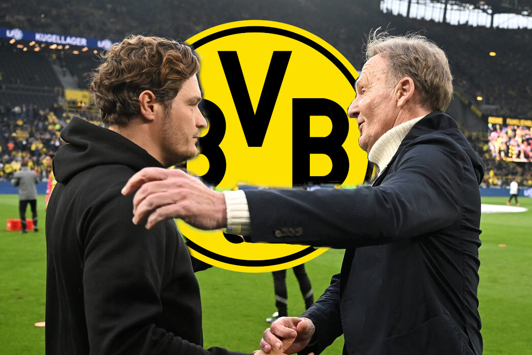 Steht Edin Terzic bei Borussia Dortmund zur Debatte?