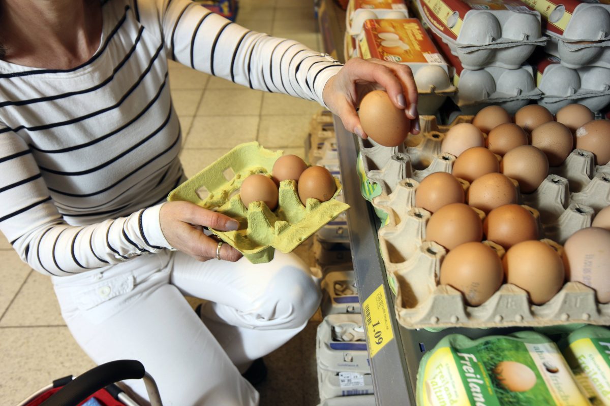 Der Grund, wieso Kassierer von Lidl, Rewe, Kaufland und Co. die Eierpackungen wirklich checken, ist verblüffend.