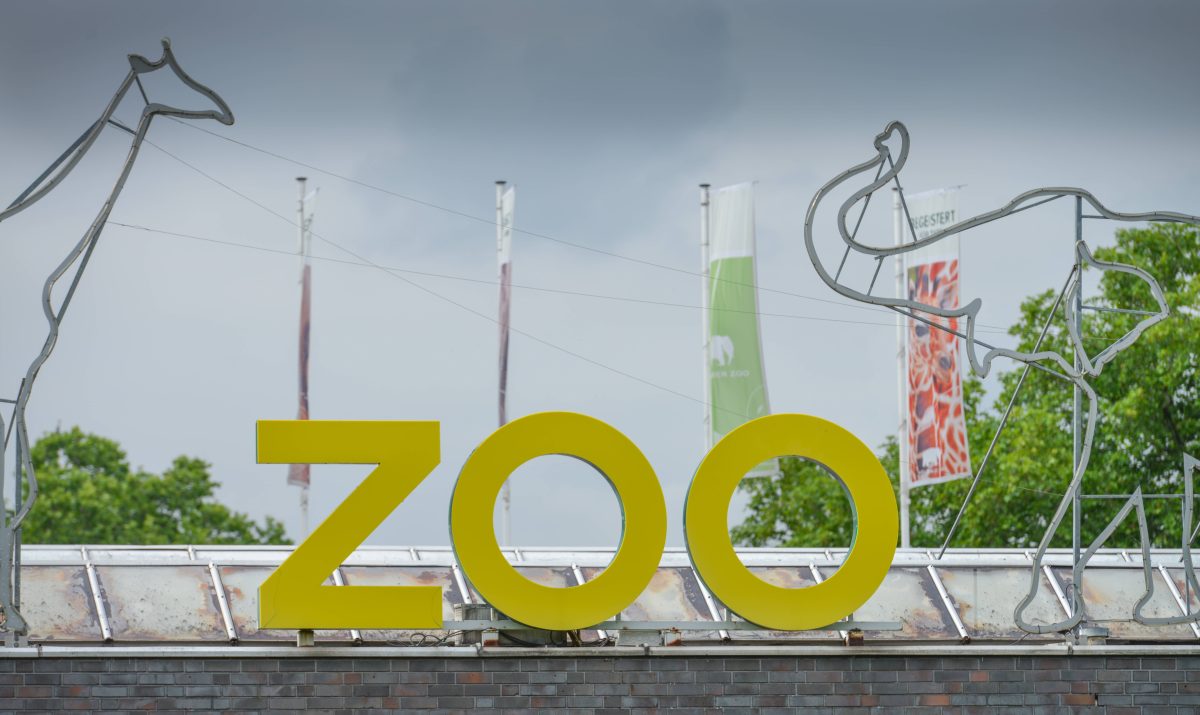 Zoo in NRW freut sich über besonders seltene Nachzucht.