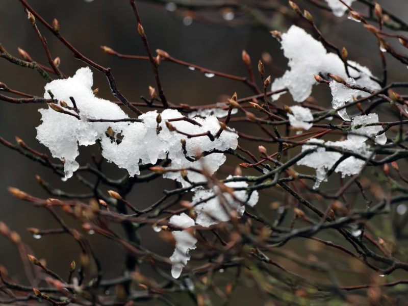 Wetter NRW