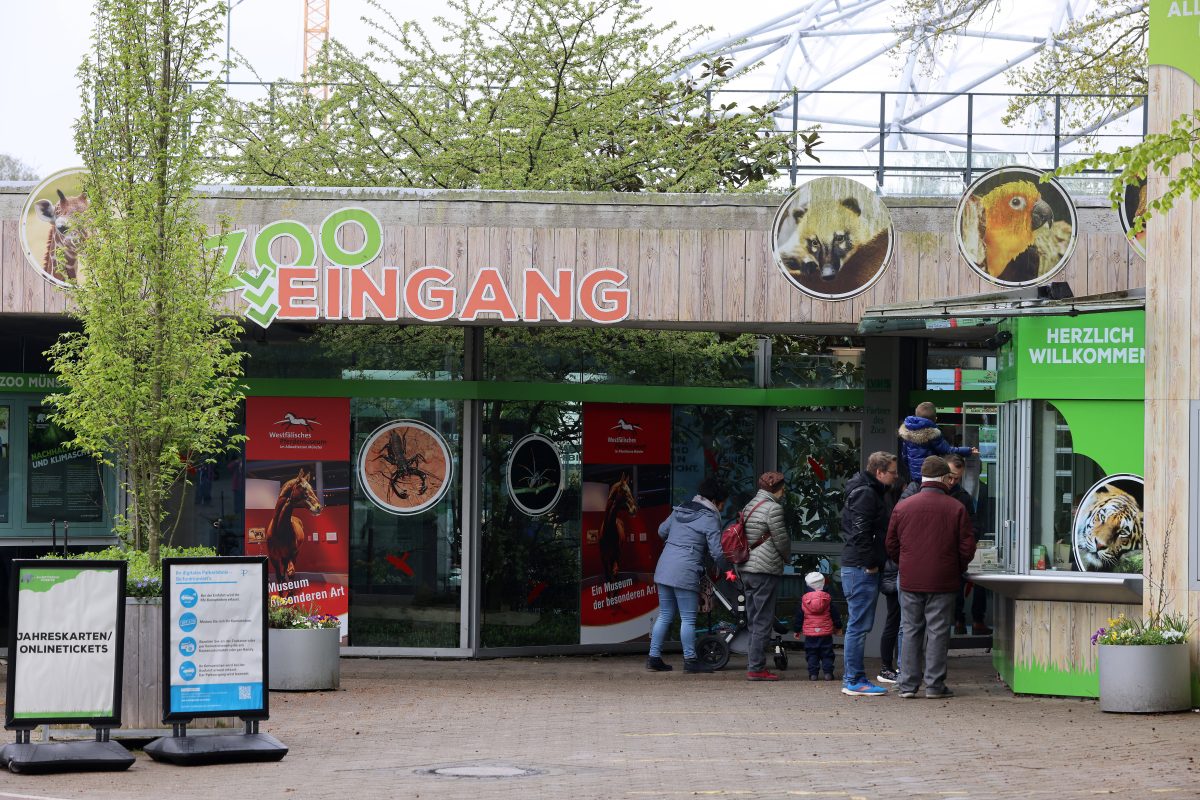 Zoo in NRW: In Münster kam es zu einem Schauspiel.