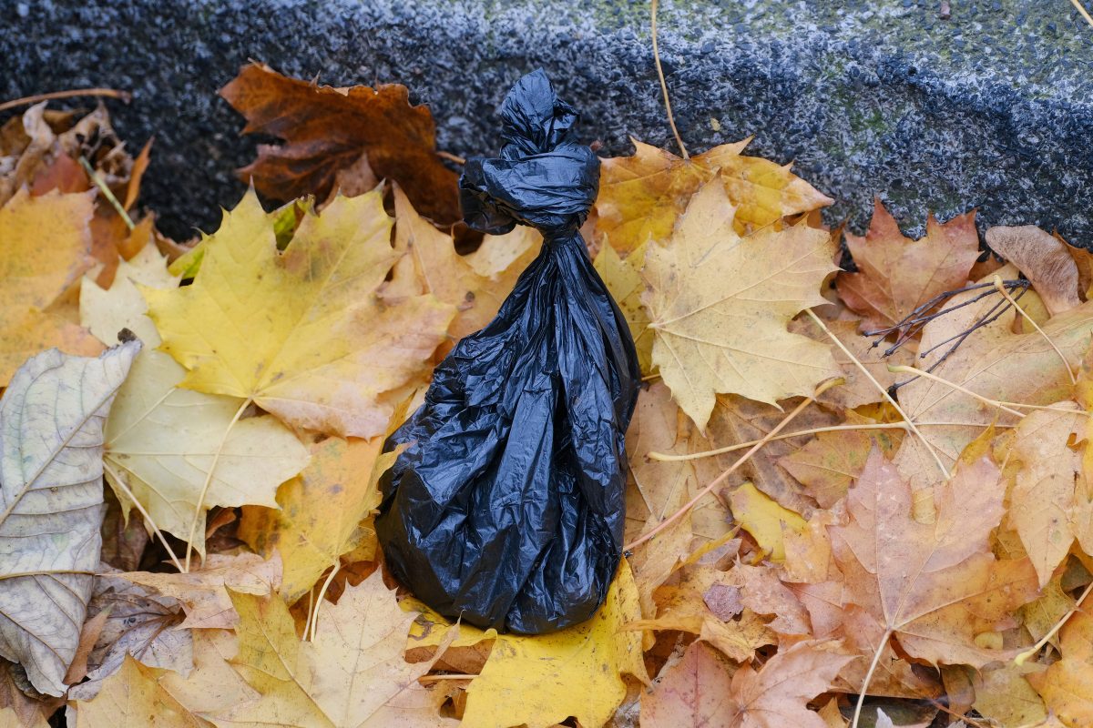 Essener klagt über verdreckte Straße mit Hundekotbeuteln.