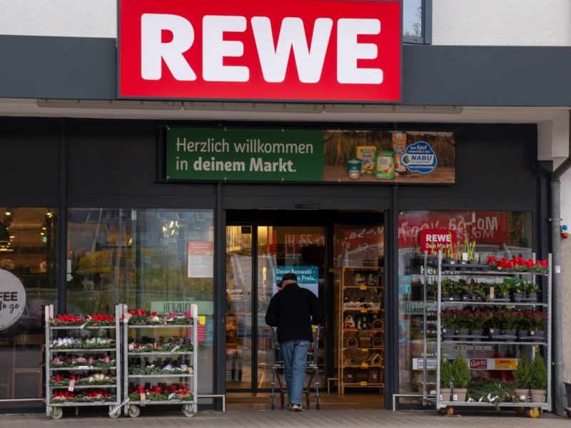 Ein Tierheim in NRW hat ein Tier aufgenommen, das zuvor in einer Rewe-Filiale entdeckt wurde.