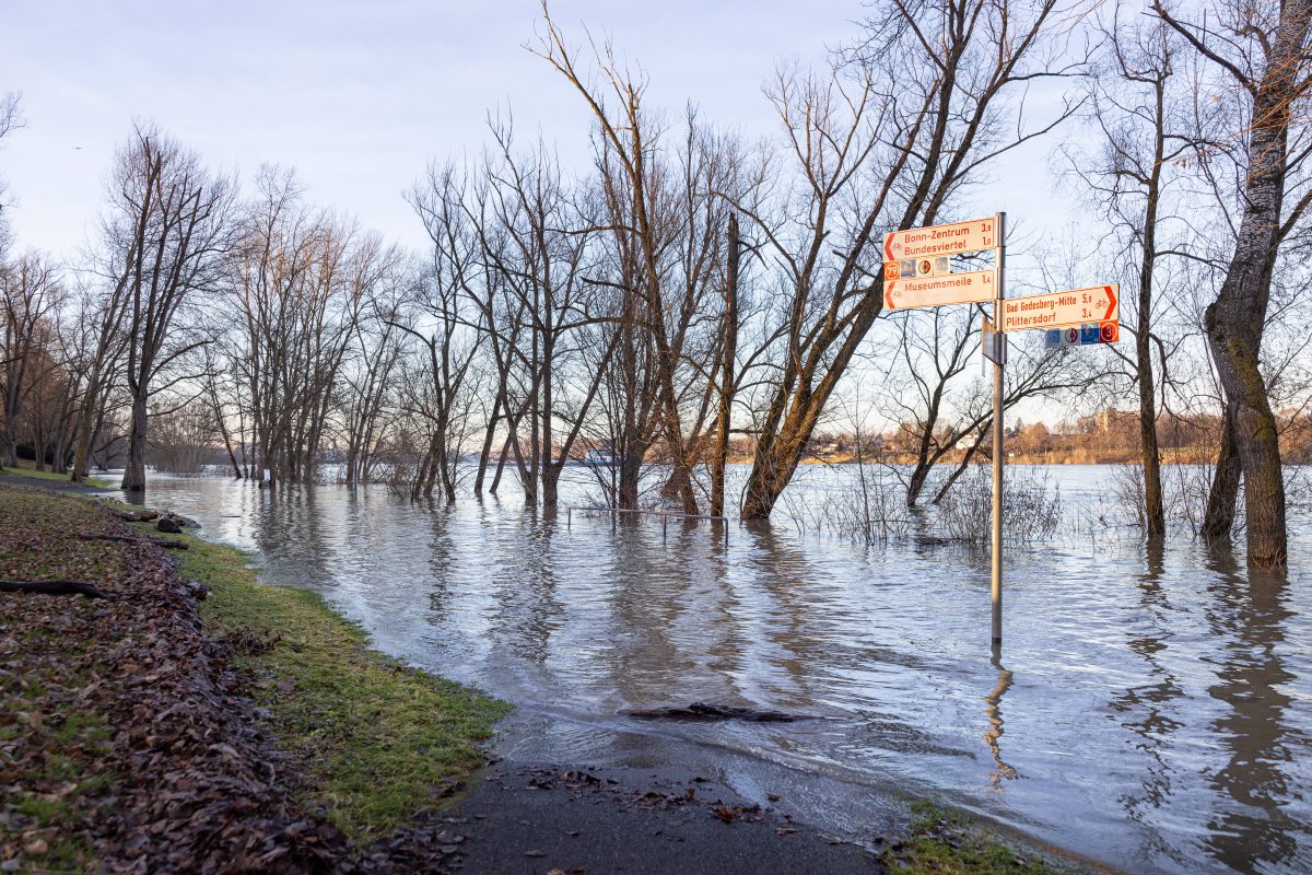 Wetter in NRW: Sturm und Regen. Das erwartet uns an Weihnachten.