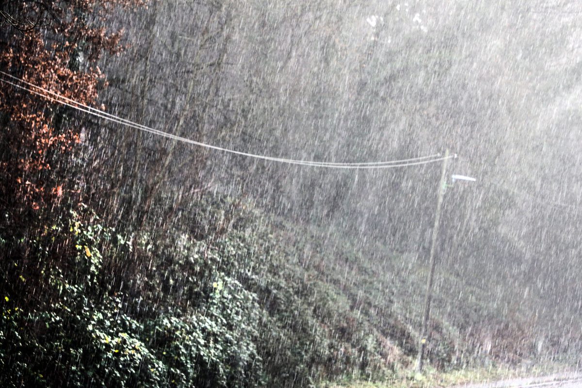 Das Wetter in NRW wird über die Feiertage mild und nass.