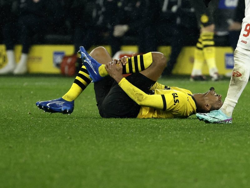 Borussia Dortmund BVB Haller