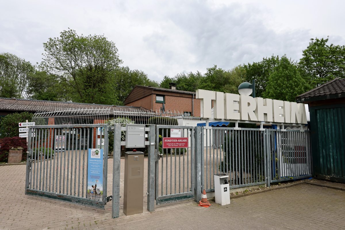 Tierheim Bochum