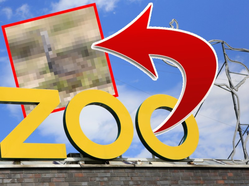 Zoo in NRW: Irre Zufalls-Entdeckung sorgt für Begeisterung – „Extrem wichtig“