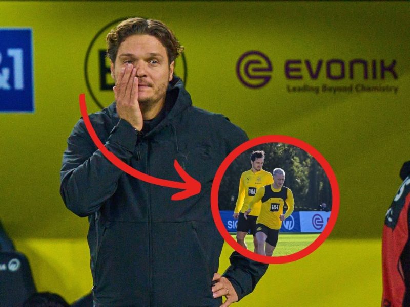 Borussia Dortmund BVB (2)