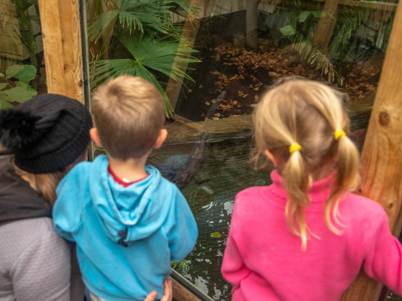 Die familienfreundlichsten Zoos in Deutschlands 2025